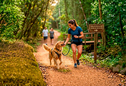 Equipamentos essenciais para atividades ao ar livre com seu cão