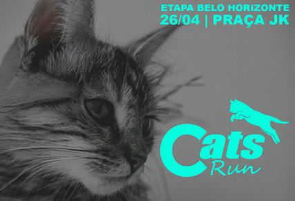 Cats Run BH 2026