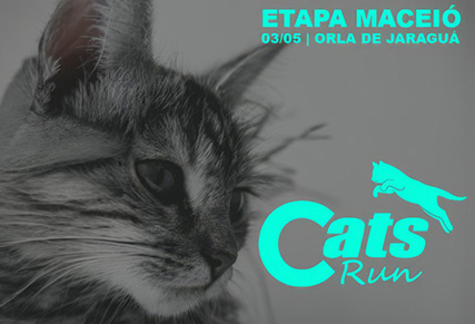 Cats Run Maceió 2026