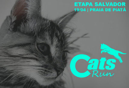 Cats Run Salvador 2026