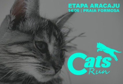 Cats Run Aracaju 2026