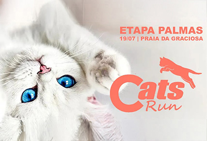 Cats Run - Etapa Palmas (TO)