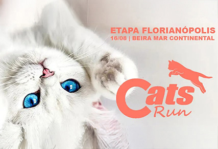Cats Run - Etapa Florianópolis (SC)