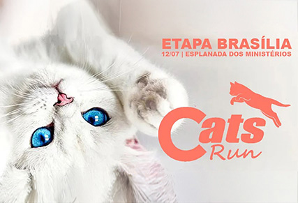 Cats Run - Etapa Brasília (DF)