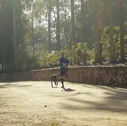 Atleta participando de prova de canicross